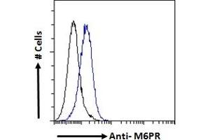ABIN238667 Flow cytometric analysis of paraformaldehyde fixed A549 cells (blue line), permeabilized with 0. (M6PR antibody  (Internal Region))