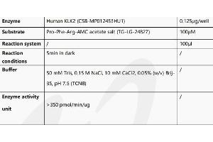 Measured by its ability to cleave a flourogenic peptide substrate Pro-Phe-Arg-7-amido-4-methylcoumarin (PFR-AMC).