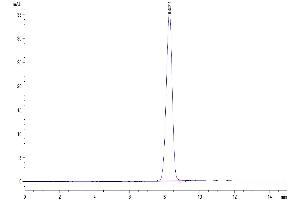 EPH Receptor B3 Protein (EPHB3) (AA 34-559) (His tag)