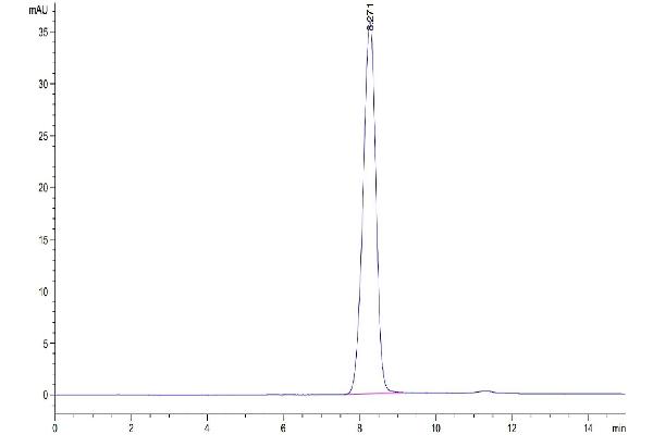 EPH Receptor B3 Protein (EPHB3) (AA 34-559) (His tag)