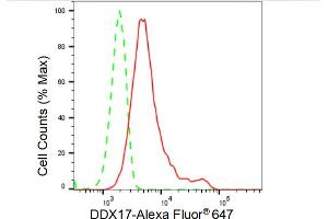 Flow cytometric analysis of DDX17 expression in HeLa cells using DDX17 antibody (ABIN7798284), 1:2,000). (Recombinant DDX17 antibody)
