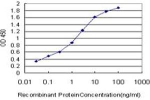 Detection limit for recombinant GST tagged HEY1 is approximately 0. (HEY1 antibody  (AA 121-220))