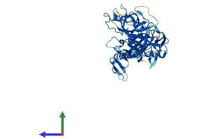 AlphaFold protein structure predicition of Human Recombinant TMPRSS4 Protein, UniprotID Q9NRS4 (TMPRSS4 Protein (AA 1-437) (His tag))