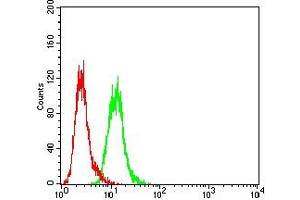 Flow cytometric analysis of Hela cells using CYLD mouse mAb (green) and negative control (red). (CYLD antibody  (AA 204-358))