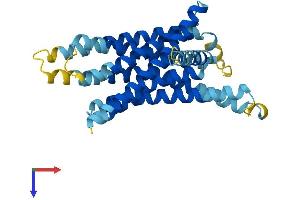 AlphaFold protein structure predicition of Mouse Recombinant Tas2r124 Protein, UniprotID Q7M718 (TAS2R124 Protein (AA 1-309) (His tag))
