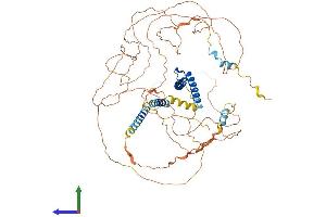 Protein Structure (PS) image for Transcription Factor 12 (TCF12) (AA 1-706) protein (His tag) (ABIN7557688)