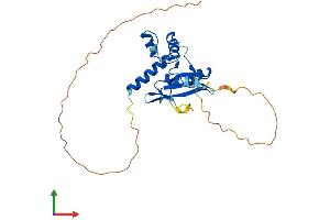 AlphaFold protein structure predicition of Mouse Recombinant Cish Protein, UniprotID Q62225 (CISH Protein (AA 1-257) (His tag))