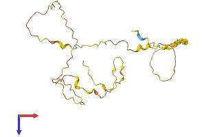 Family with Sequence Similarity 168, Member B (FAM168B) (AA 1-195) protein (His tag)