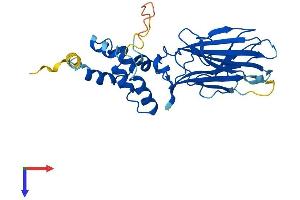 FBXO17 Protein (AA 1-286) (His tag)