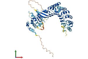 AlphaFold protein structure predicition of Human Recombinant PRAME Protein, UniprotID P78395 (PRAME Protein (AA 1-509) (His tag))