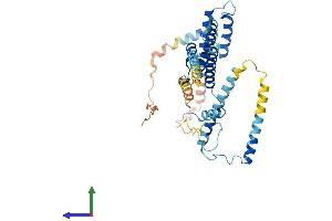 AlphaFold protein structure predicition of Mouse Recombinant Dnajc28 Protein, UniprotID Q8VCE1