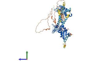 AlphaFold protein structure predicition of Human Recombinant KCND2 Protein, UniprotID Q9NZV8