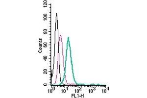 Cell surface detection of MERTK by direct flow cytometry in live intact mouse  microglia cells: + Rabbit IgG Isotype Control-FITC (ABIN7582044).