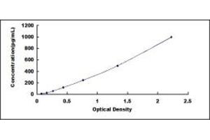 Typical standard curve (SERPINA12 ELISA Kit)