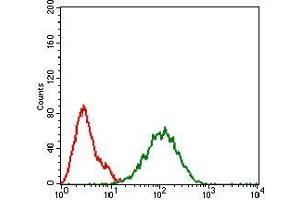 Flow cytometric analysis of Hela cells using IL3RA mouse mAb (green) and negative control (red). (IL3RA antibody  (AA 200-305))