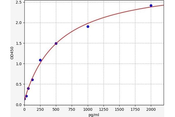 Ezrin ELISA Kit