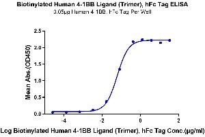 ELISA image for Tumor Necrosis Factor (Ligand) Superfamily, Member 9 (TNFSF9) (Trimer) protein (Fc Tag,Biotin) (ABIN7273930)