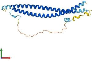 AlphaFold protein structure predicition of Mouse Recombinant Snap23 Protein, UniprotID O09044