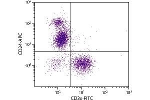 BALB/c mouse splenocytes were stained with Rat Anti-Mouse CD24-APC. (CD24 antibody  (APC))