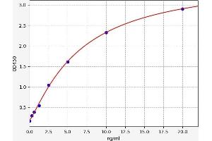 SOX2 ELISA Kit