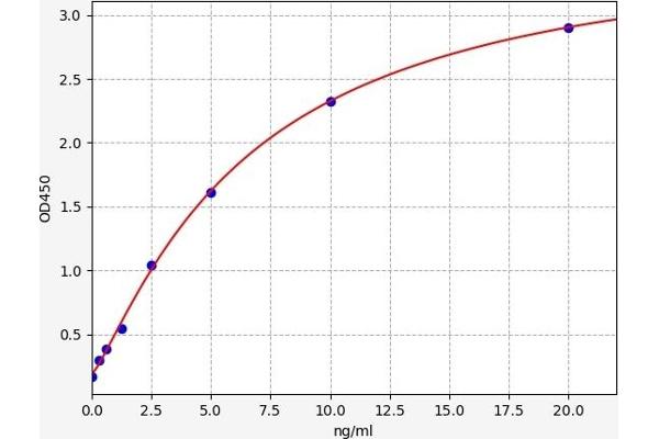 SOX2 ELISA Kit