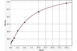 Typical standard curve (SOX2 ELISA Kit)