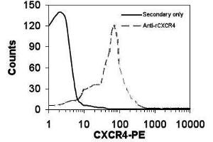 Image no. 1 for anti-Chemokine (C-X-C Motif) Receptor 4 (CXCR4) antibody (ABIN110595) (CXCR4 antibody)