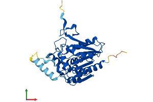 AlphaFold protein structure predicition of Human Recombinant MGLL Protein, UniprotID Q99685 (MGLL Protein (AA 1-303) (His tag))