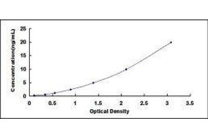 Mucin 2, Oligomeric Mucus/gel-Forming (MUC2) ELISA Kit