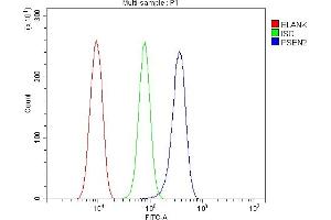 Flow Cytometry analysis of RH-35 cells using anti-Presenilin 2/AD5/PSEN2 antibody (ABIN7602796). (Presenilin 2 antibody  (C-Term))