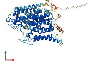 Protein Structure (PS) image for High Affinity Choline Transporter (ChT) (AA 1-580) protein (His tag) (ABIN7545908)