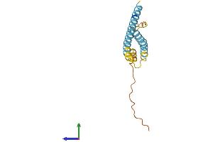 Protein Structure (PS) image for Interferon-Induced Transmembrane Protein 3 (IFITM3) (AA 1-137) protein (His tag) (ABIN7564939)