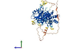 AlphaFold protein structure predicition of Mouse Recombinant Cdadc1 Protein, UniprotID Q8BMD5