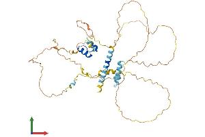 AlphaFold protein structure predicition of Human Recombinant MAMSTR Protein, UniprotID Q6ZN01 (MAMSTR Protein (AA 1-415) (His tag))