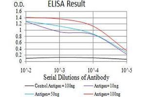 Fig. (Estrogen Receptor alpha antibody  (pTyr537))