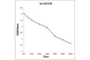 Antigen: 2 µg/100 µL  Primary: Antiserum, 1:500, 1:1000, 1:2000, 1:4000, 1:8000, 1:16000, 1:32000;  Secondary: HRP conjugated Rabbit Anti-Goat IgG at 1: 5000;  TMB staining Read the data in Microplate Reader by 450nm. (DLG3 antibody  (AA 501-600))