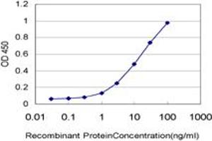 Detection limit for recombinant GST tagged ADAM9 is approximately 0. (ADAM9 antibody  (AA 36-135))