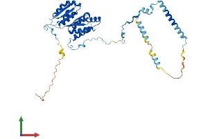 AlphaFold protein structure predicition of Mouse Recombinant Krr1 Protein, UniprotID Q8BGA5 (KRR1 Protein (AA 1-380) (His tag))