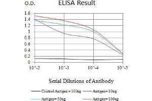 Black line: Control Antigen (100 ng),Purple line: Antigen (10 ng), Blue line: Antigen (50 ng), Red line:Antigen (100 ng) (MUC5AC antibody  (AA 28-327))