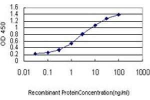 Detection limit for recombinant GST tagged GMNN is approximately 0. (Geminin antibody  (AA 110-209))