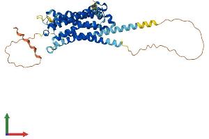 AlphaFold protein structure predicition of Human Recombinant HTR1B Protein, UniprotID P28222
