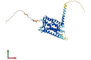 AlphaFold protein structure predicition of Mouse Recombinant Mtnr1b Protein, UniprotID Q8CIQ6