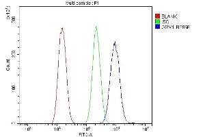 Flow Cytometry analysis of U20S cells using anti-mGluR1/GRM1 antibody (ABIN7600912). (Metabotropic Glutamate Receptor 1 antibody  (AA 25-466))