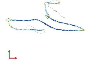 Protein Structure (PS) image for Progesterone Immunomodulatory Binding Factor 1 (PIBF1) (AA 1-757) protein (His tag) (ABIN7554925)