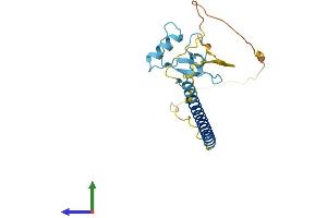 Protein Structure (PS) image for THAP Domain Containing, Apoptosis Associated Protein 1 (THAP1) (AA 1-213) protein (His tag) (ABIN7544470)
