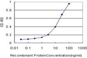 Detection limit for recombinant GST tagged SGCB is approximately 0. (SGCB antibody  (AA 1-318))
