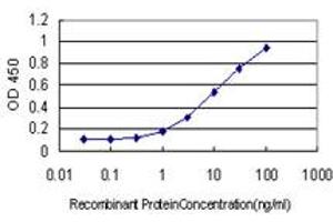 Detection limit for recombinant GST tagged HERC3 is approximately 0. (HERC3 antibody  (AA 1-109))