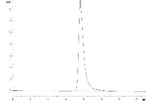 The purity of Cynomolgus Serum Albumin is greater than 95 % as determined by SEC-HPLC. (Albumin Protein (ALB) (AA 25-608) (His tag))