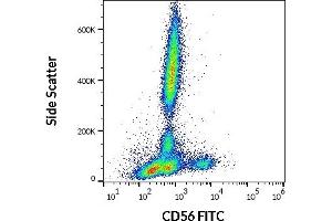 Flow cytometry surface staining pattern of human peripheral whole blood stained using anti-human CD56 (LT56) FITC antibody (4 μL reagent / 100 μL of peripheral whole blood). (CD56 antibody  (FITC))