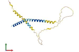 AlphaFold protein structure predicition of Human Recombinant FATE1 Protein, UniprotID Q969F0 (FATE1 Protein (AA 1-183) (His tag))
